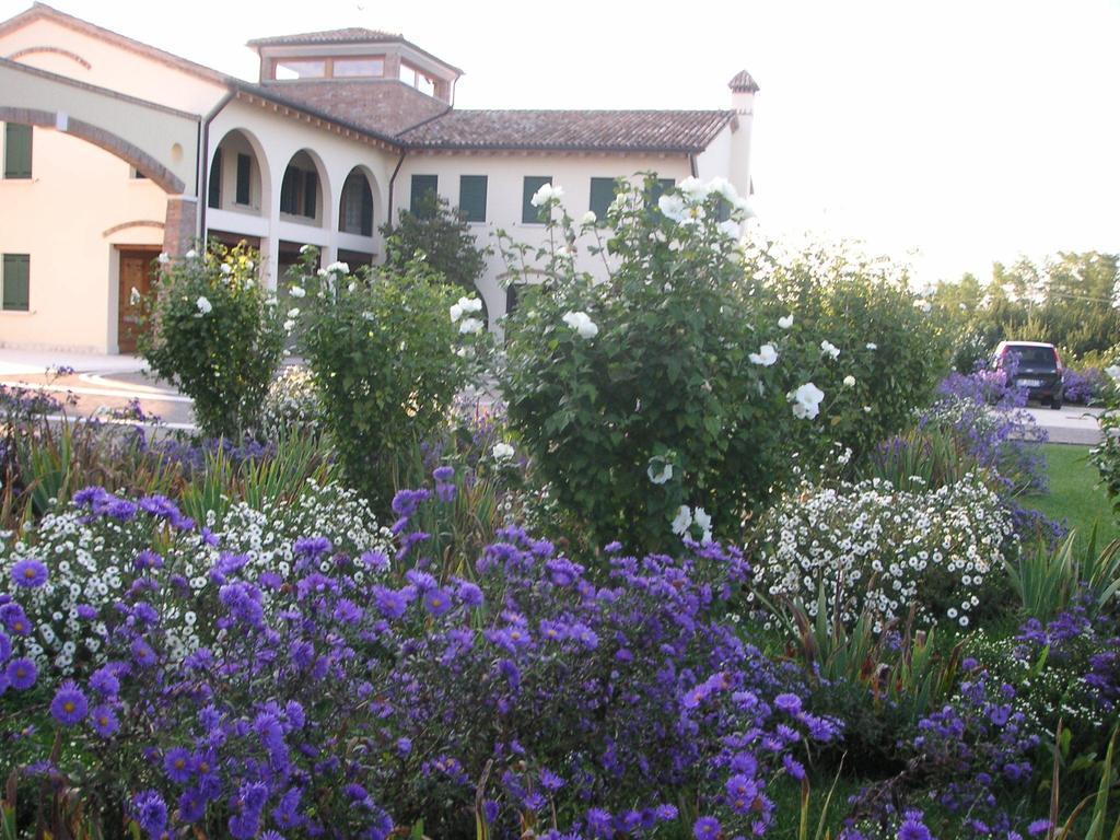 Agriturismo Due Torri Montebelluna Ngoại thất bức ảnh