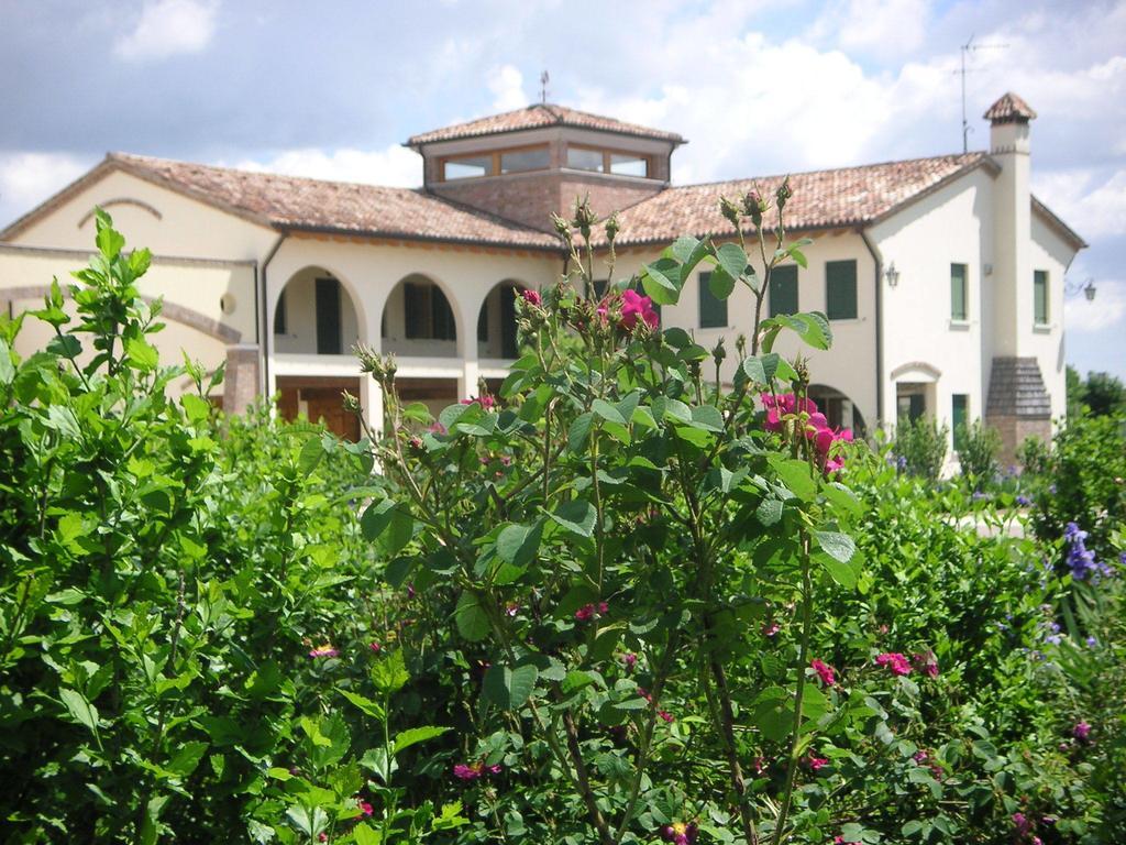 Agriturismo Due Torri Montebelluna Ngoại thất bức ảnh